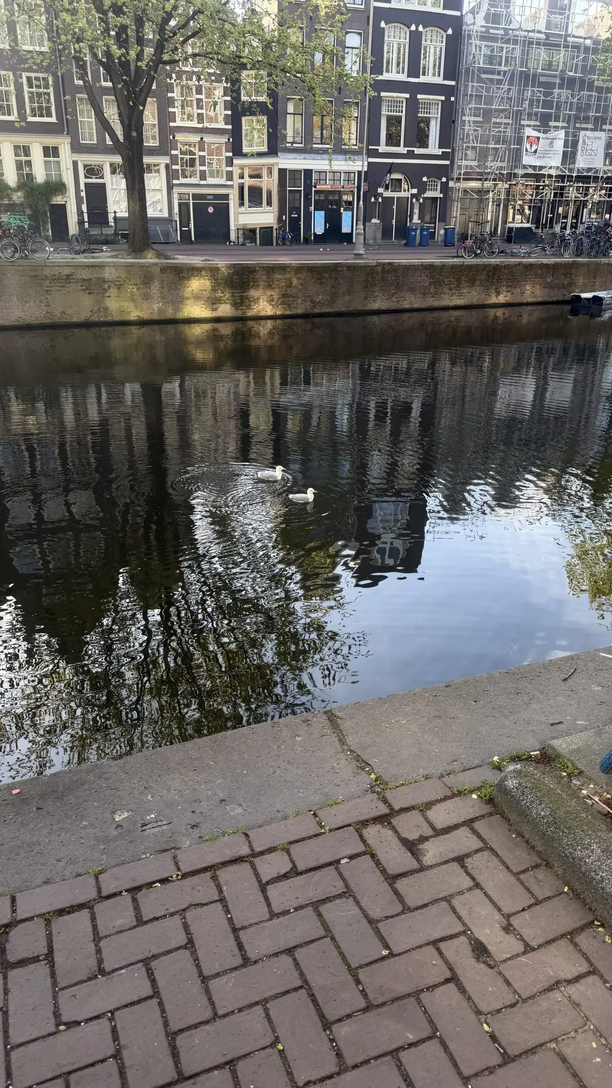 Amsterdam – reisifoto
