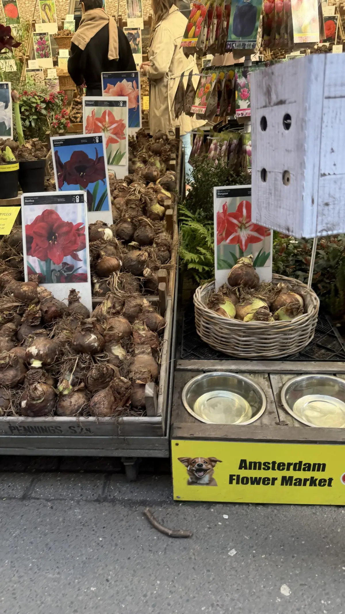 Amsterdam – reisifoto