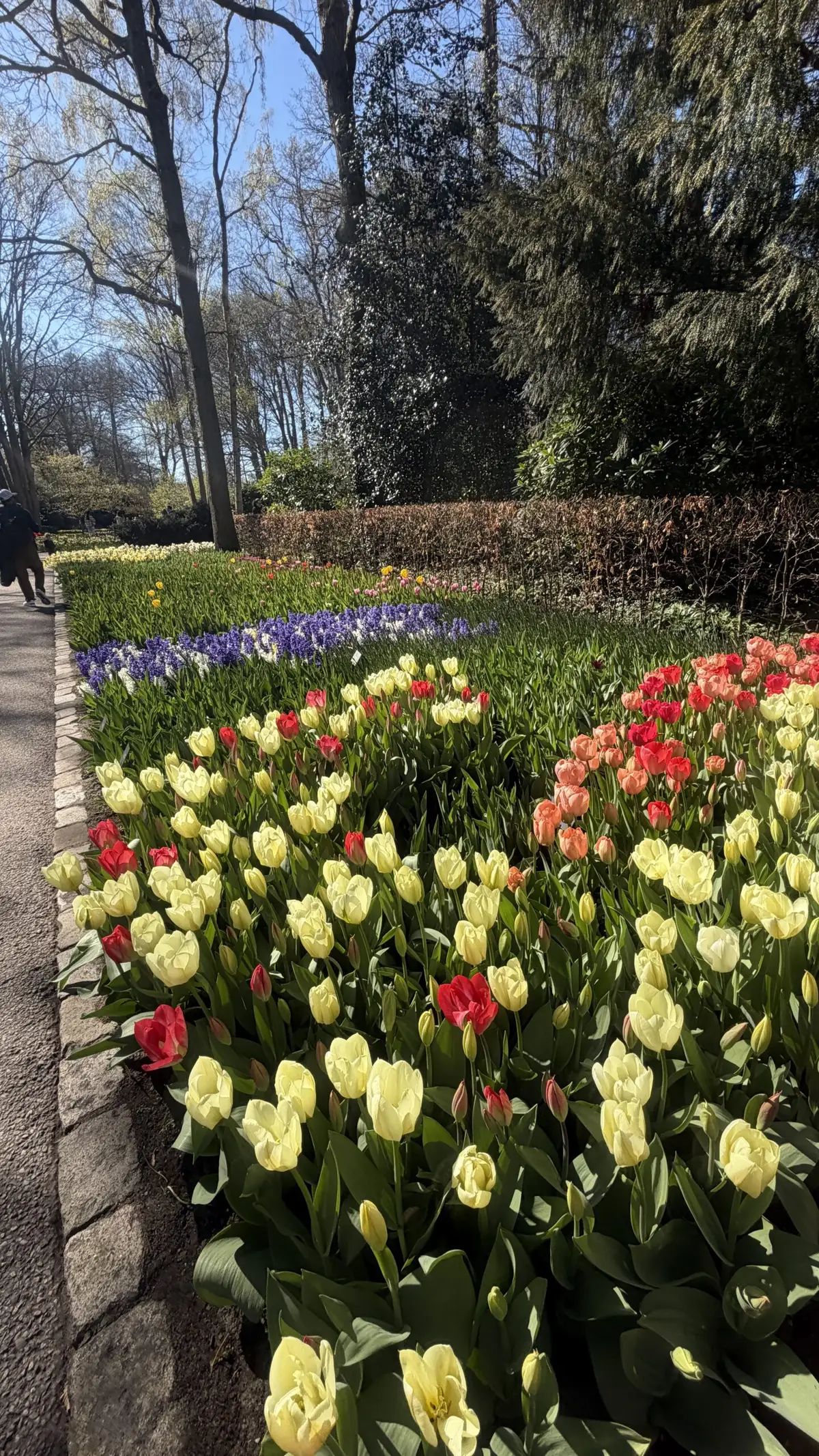 Amsterdam – reisifoto