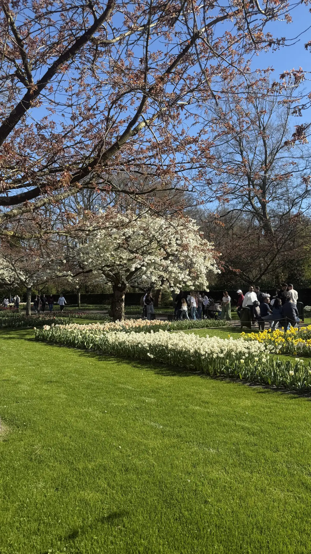 Amsterdam – reisifoto