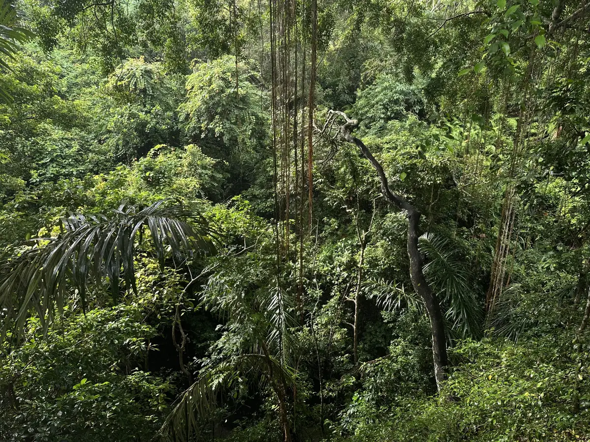 Bali – reisifoto
